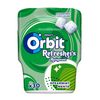 Жевательные резинки ORBIT Refresher Spearmint bottle, 67г, 30шт