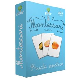 Carti de joc Montessori. Fructe exotice. Vocabular
