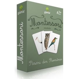 Carti de joc Montessori. Pasari din Romania. Vocabular