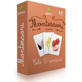 Carti de joc Montessori. Cele 5 simturi
