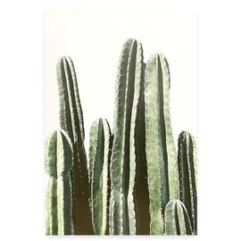Tablou Cactus, SSP034 №3, 50x70 cm