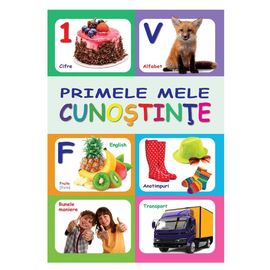 PRIMELE MELE CUNOSTINTE.