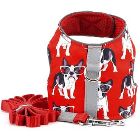 Curea pentru animale PS015, Marimea: XS-L