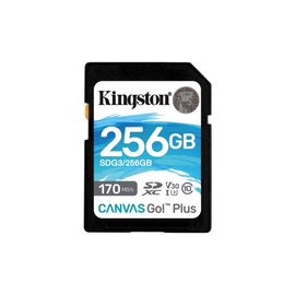 Карта памяти SD KINGSTON Canvas Go! Plus, Class10, UHS-I, U3, (V30), 256GB