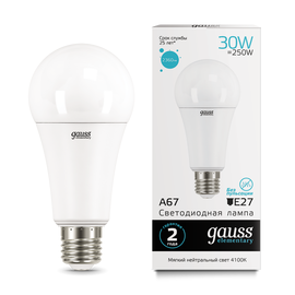 Лампа  LED GAUSS ELEMENTARY A67 Цоколь E27  30Вт   нейтральный свет