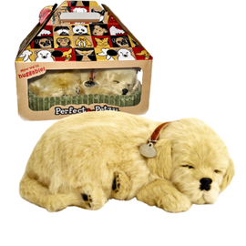 Jucarie interactiva PERFECT PETZZZ Golden Retriever