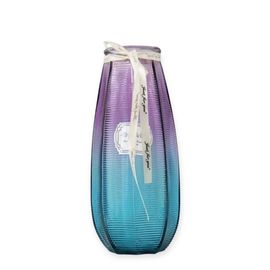 Vaza trasparenta VE55, sticla, 23.7 cm