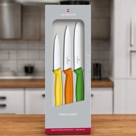 Set cutite VICTORINOX Swiss Classic, paring set, 3pcs, 6.7116.31G