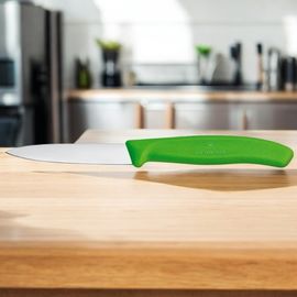Cutit VICTORINOX Paring, Swiss Class, green, 8 cm, 6.7606.L114