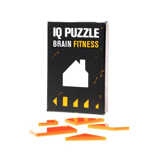 Joc de logica IQ PUZZLE House, 5 piese