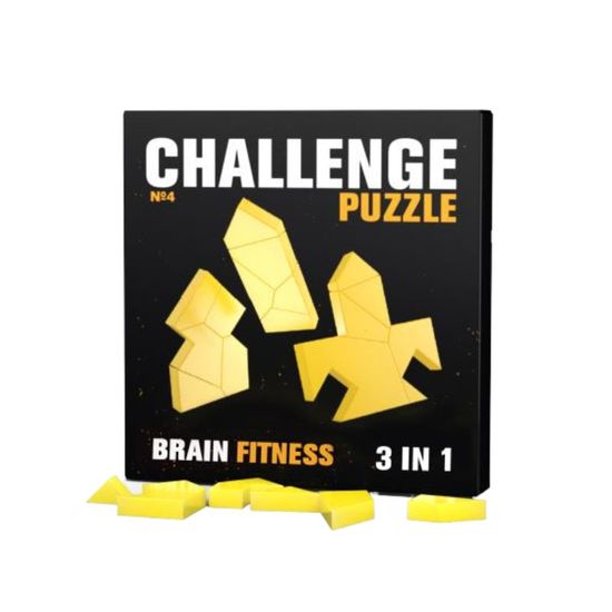 Joc de logica CHALLENGING PUZZLE №4