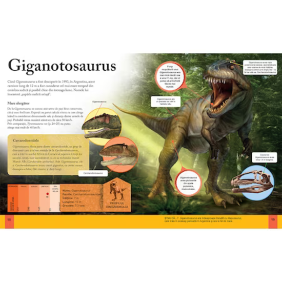 Enciclopedia Vizuala a copiilor. Dinozaurii, 3 image