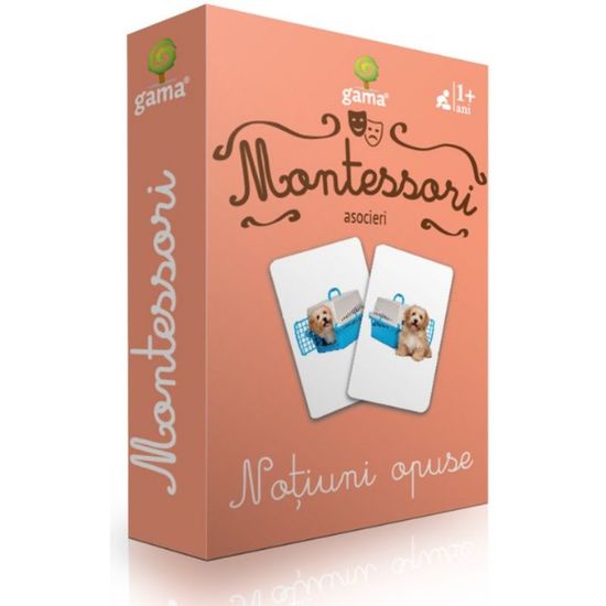 Carti de joc Montessori. Notiuni opuse. Asocieri