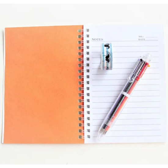 Дневник цветной с ручкой NS-033, изображение 3