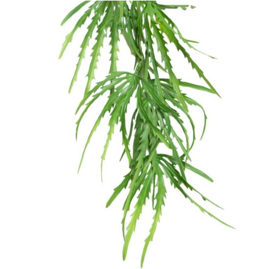 Planta CASA MASA Equisetum, verde, 116 cm, 2 image