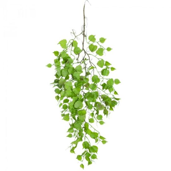 Planta CASA MASA VITA DE VIE, verde aprins, 95 cm