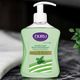 Sapun lichid DURU 1+1 Green Tea&Cream 300 ml